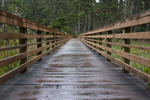 Bridge at Beard's Hollow in Ilwaco, WA