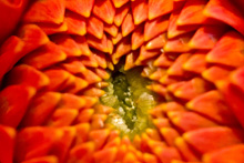 Pizza from Cheese Bar in Portland, OR