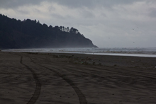 Looking south from Long Beach, WA